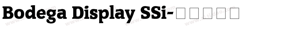 Bodega Display SSi字体转换